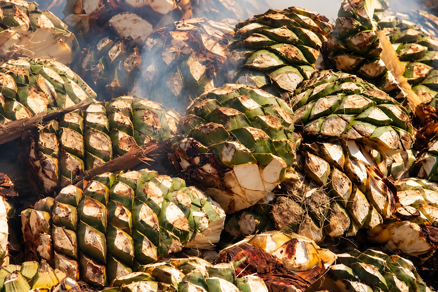 Cocción artesanal del agave
