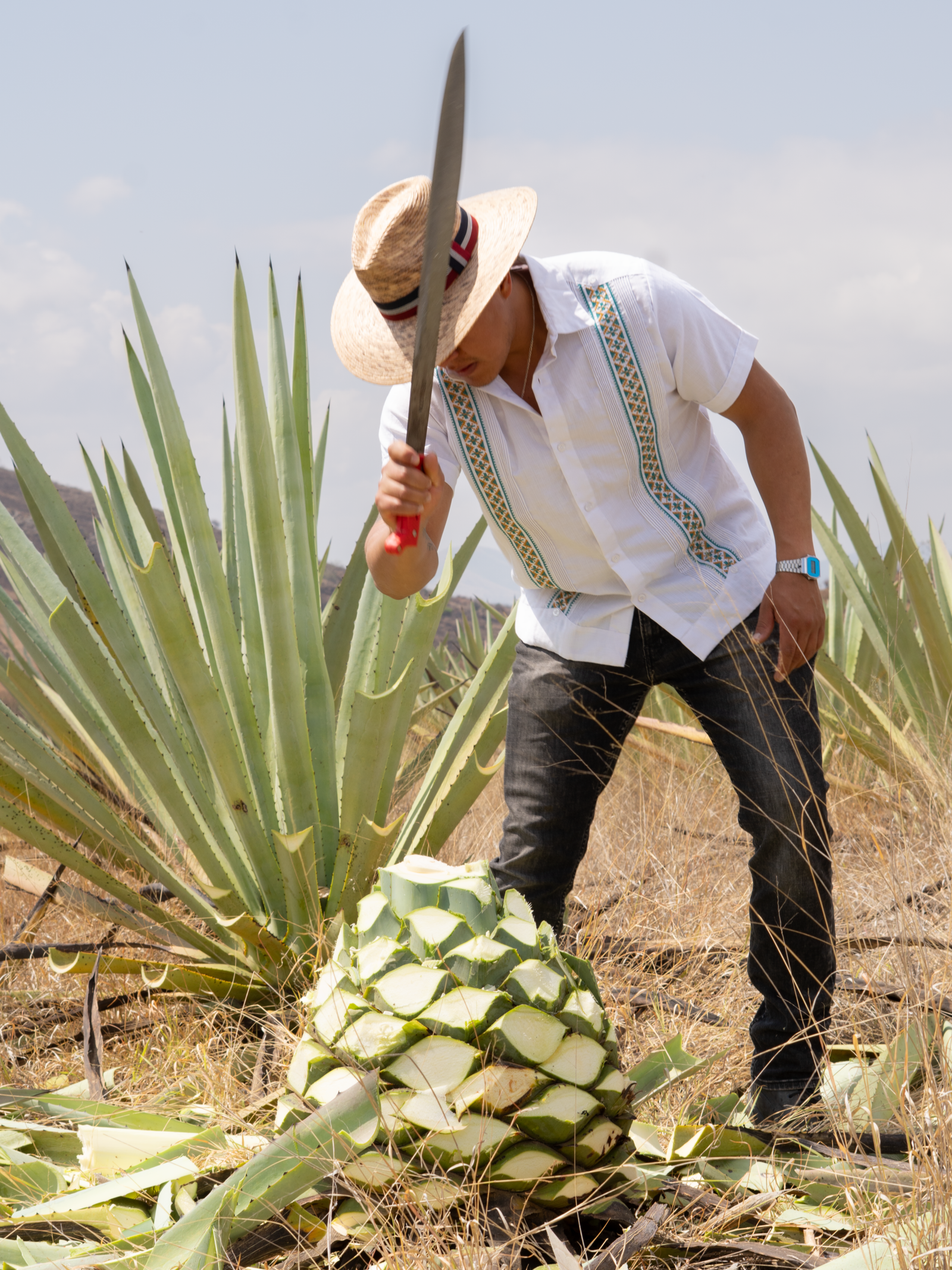 Origen del mezcal SIE7E DESEOS