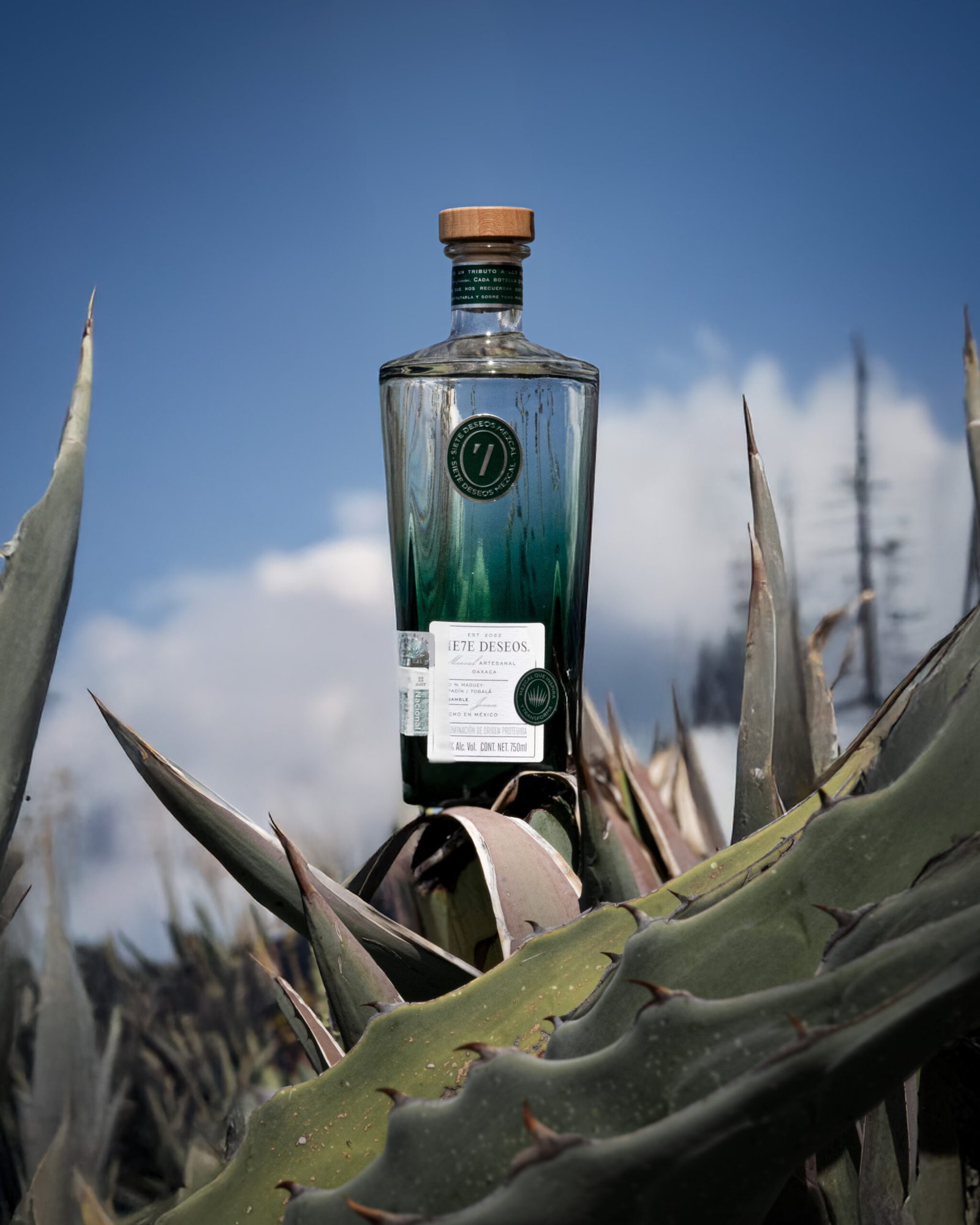 Mezcal SIE7E DESEOS Espadín